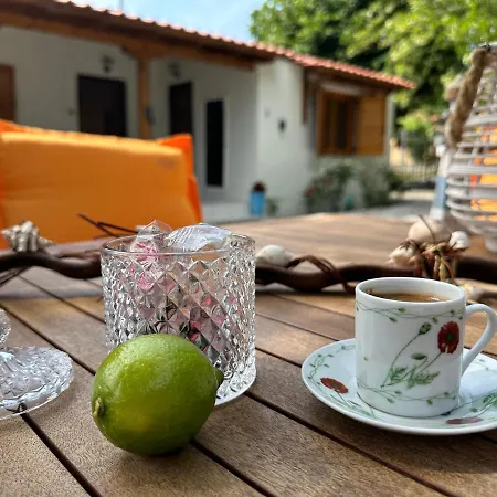 Authentic Charm In Sykia, Sithonia *
