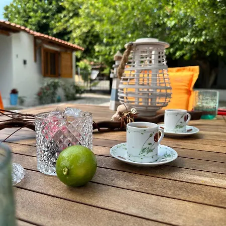 Authentic Charm In Sykia, Sithonia *